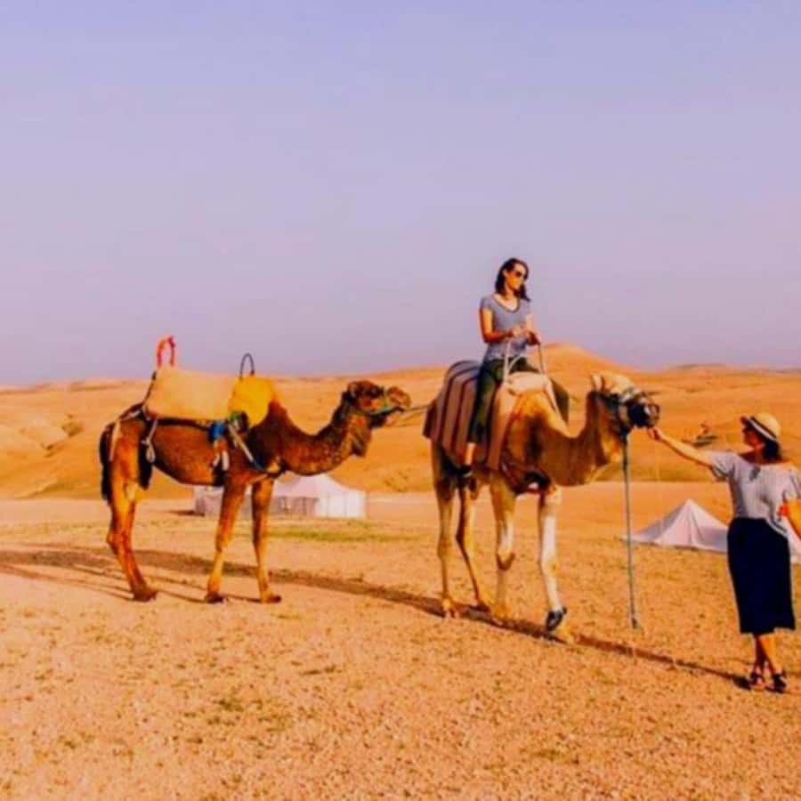 Marrakech: Agafay Desert Camp Lunch with Camel Ride and Pool - Is $39 good value?