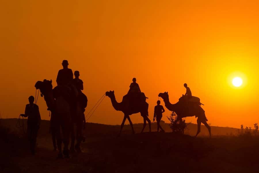 Marrakech: Agafay Desert Dinner, Camel Ride, and Music Show - The sunset camel ride in Agafay