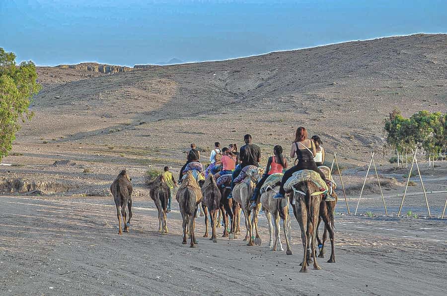 Marrakech: Agafay Desert Dinner, Camel Ride, & Show - Music, dancing, and the fire show