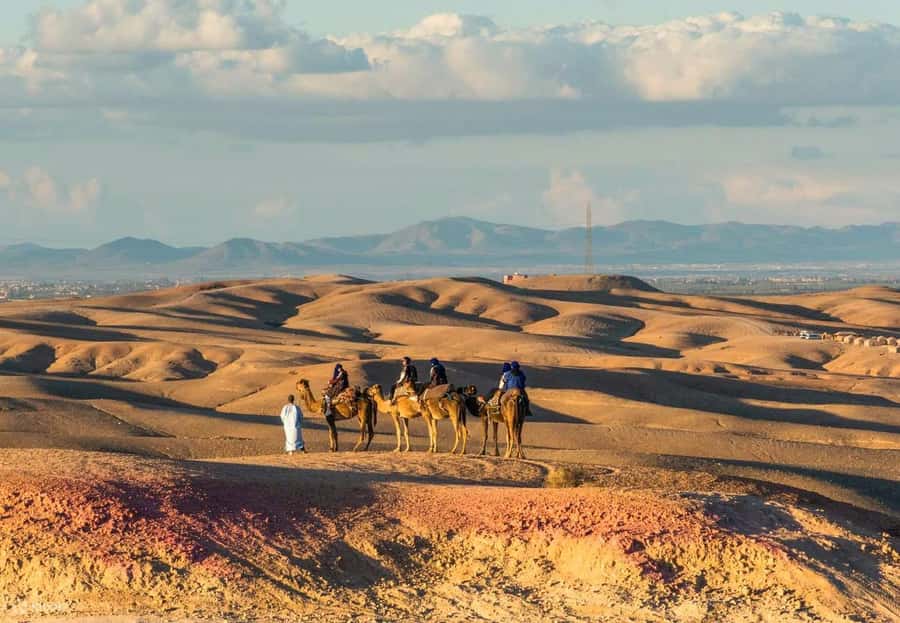 Marrakech: Agafay Desert Dinner Show with Quad Bike & Camel - A few practical ways to improve your day