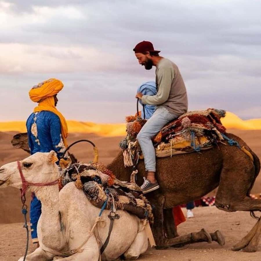 Marrakech: Agafay Desert Dinner Show with Sunset Camel Ride - The argan oil cooperative adds local context