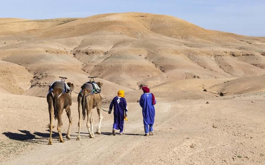 Marrakech: Agafay Desert, Lunch, Camel Ride, & Swimming Pool - Pool Time in a Desert Camp