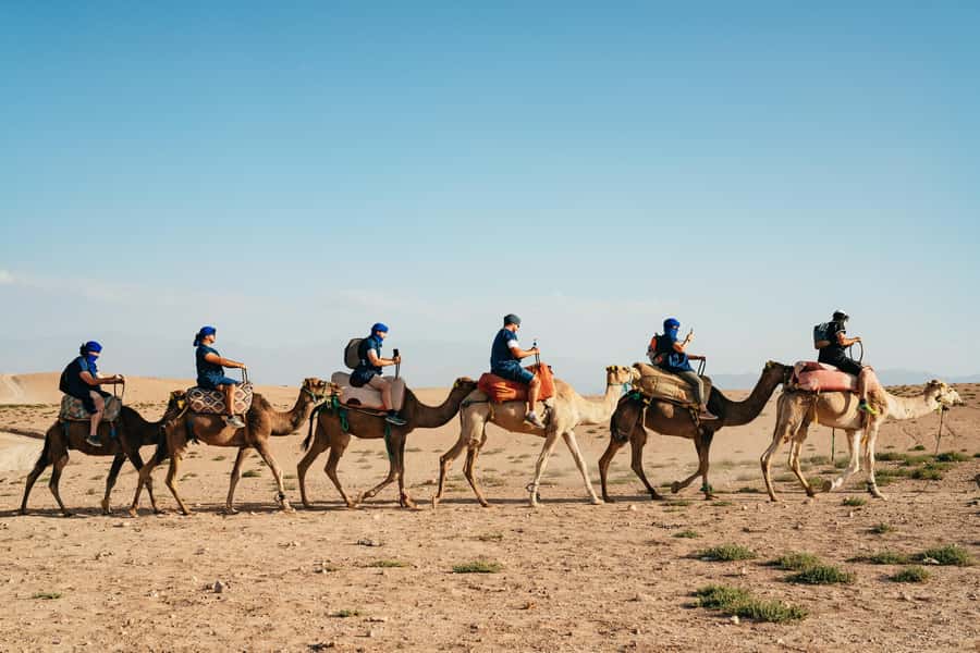 Marrakech: Agafay Desert Pool, Dinner & Live Show Experience - Should you book the Agafay Desert evening?