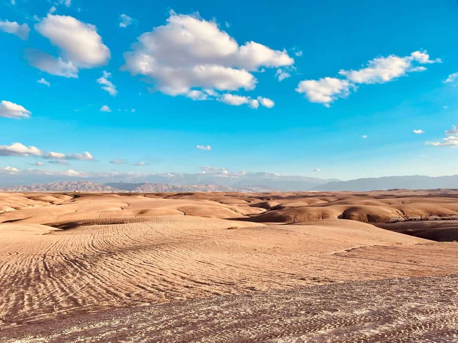 Marrakech: Agafay Desert Quad Bike Tour with Moroccan Tea - Key points before you book