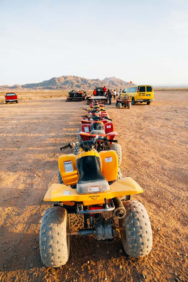 Marrakech: Agafay Desert Quad Bike with Camels & Dinner Show - Key points to know before you book
