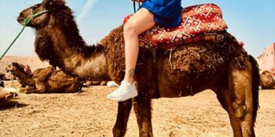 Marrakech: Agafay Desert Quad Biking with Dinner & Show - Optional camel rides and argan oil stops