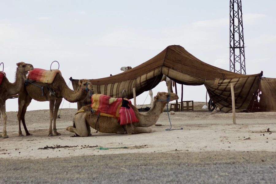 Marrakech: Agafay Desert Quad, Camel or Pool Day with Lunch - Arriving at camp: mint tea and a change of pace