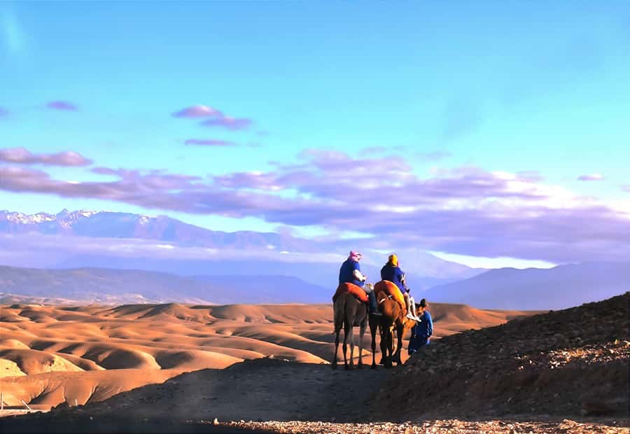 Marrakech: Agafay Desert Quad, Camel or Pool Day with Lunch - Choose the right package before booking