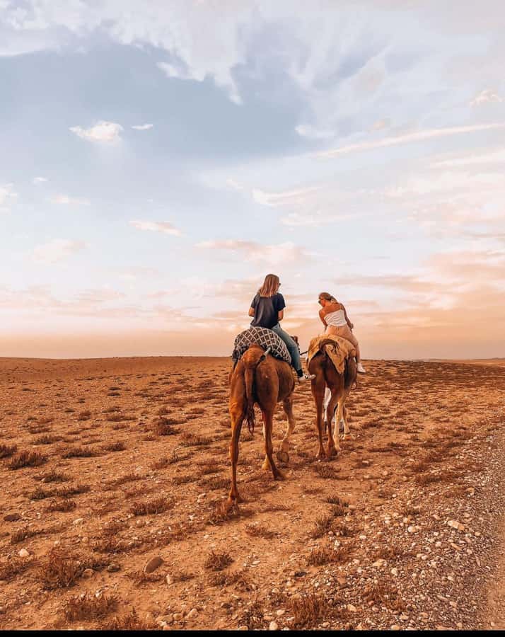 Marrakech: Agafay Desert Quad, Camel Ride & Dinner Show - Berber Music, Dancing, and the Fire Show