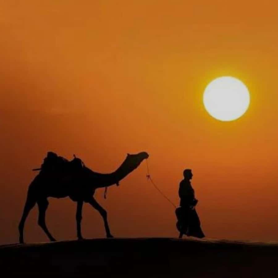 Marrakech: Agafay Desert Quad & Camel Rides with Dinner Show - Agafay Desert Quad and Camel Tour: Key Points