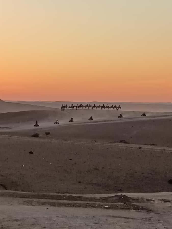 Marrakech: Agafay Desert Quad & Camel Rides with Dinner Show - Should You Book It?