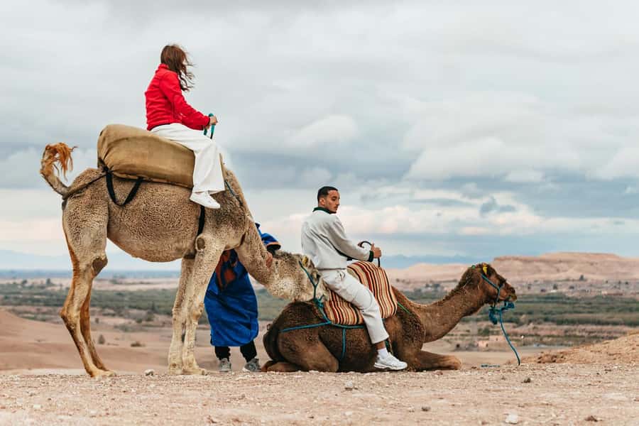 Marrakech: Agafay Desert Retreat, Tent, Dinner, Show & Pool - Dinner with four kinds of Moroccan entertainment