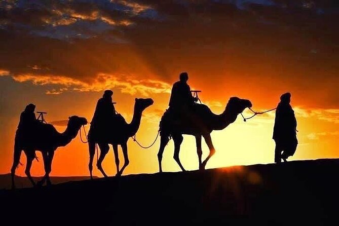 Marrakech: Agafay Desert Sunset, Camel Ride, and Dinner Show - A 15-minute camel ride through Agafay