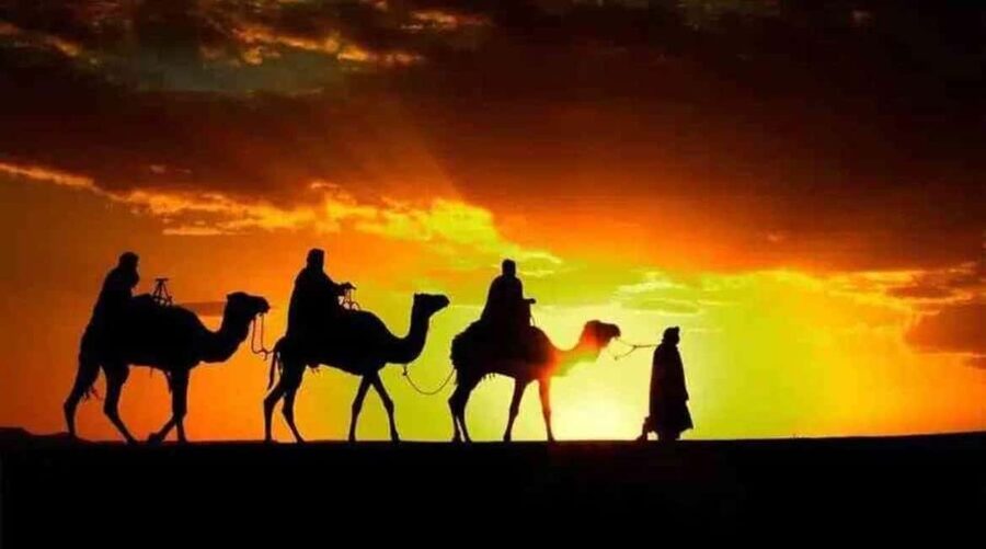 Marrakech: Agafay Desert Sunset, Camel Ride, Dinner and Show - Key points to know before you book