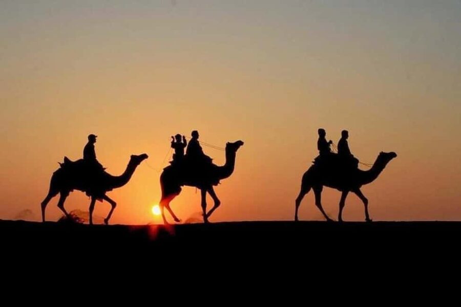 Marrakech: Agafay Desert Sunset, Camel Ride, Dinner and Show - Is $17 good value?
