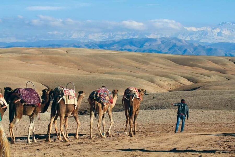 Marrakech: Agafay Desert Sunset, Camel Ride, Dinner and Show - A quiet tea stop before the main event