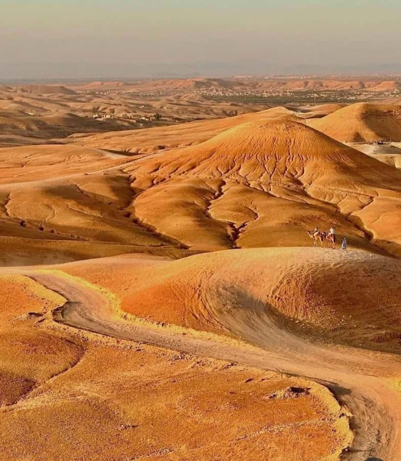 Marrakech : Agafay Desert Sunset Camel Ride & Luxury Dinner - Guides, transport, and how the evening runs