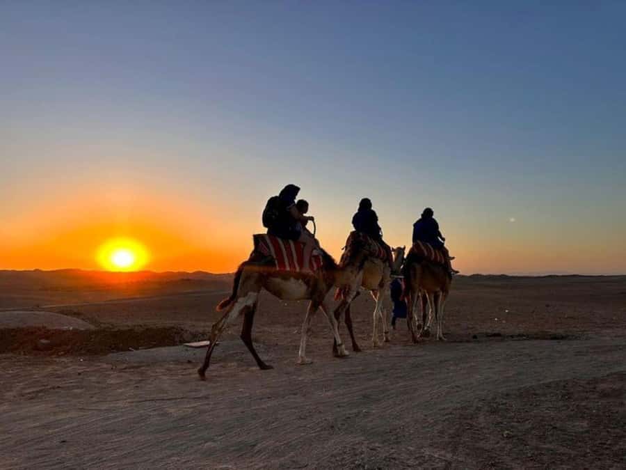 Marrakech: Agafay Desert Trip with Activities and Dinner - Is $21 good value?
