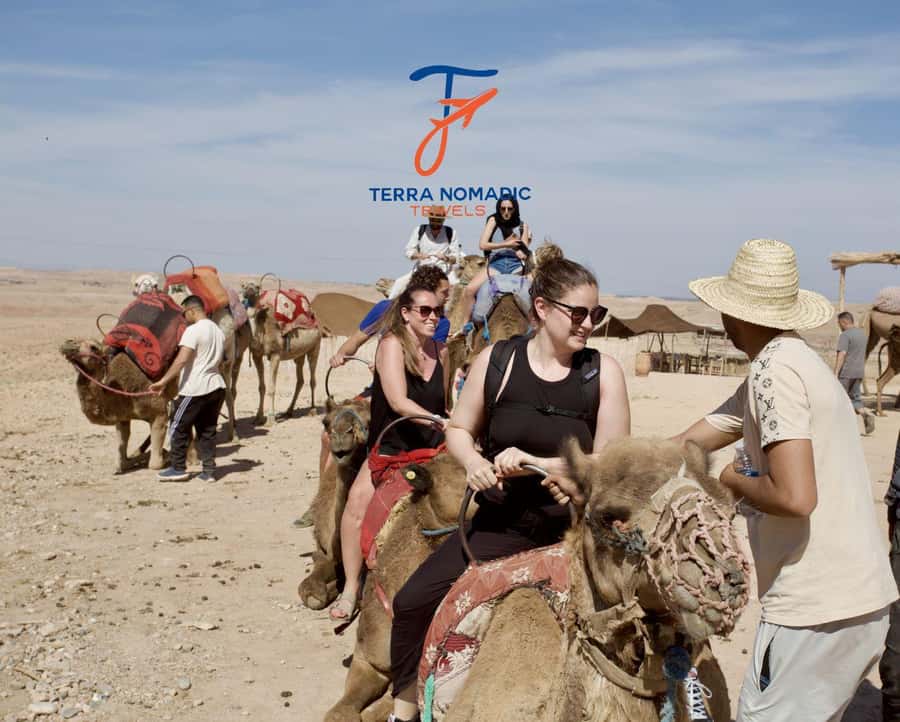Marrakech: Agafay Dinner Show with Quad/Camel Ride and Pool - Moroccan dinner beneath the stars