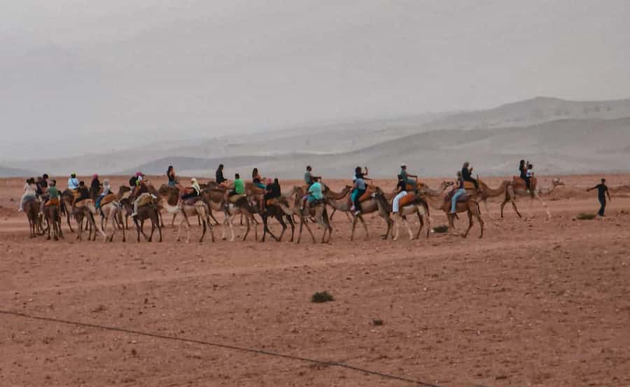 Marrakech: Agafay Ds Sunset with Dinner, Show & Tuareg Music - The fire show and the practical side of the evening
