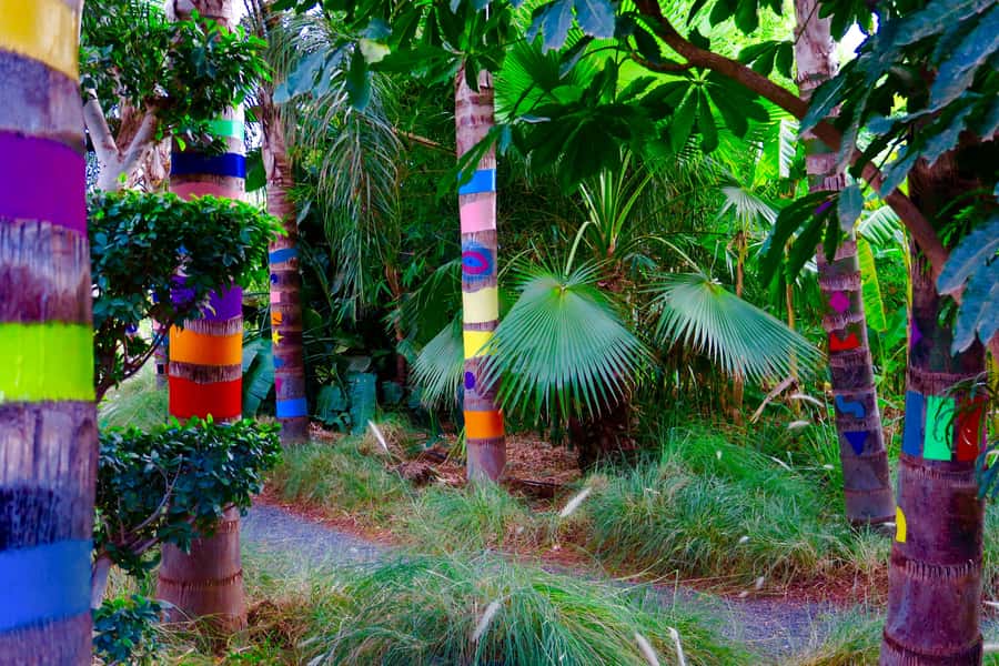 Marrakech: André Heller's ANIMA Garden Ticket - The cafe is part of the experience
