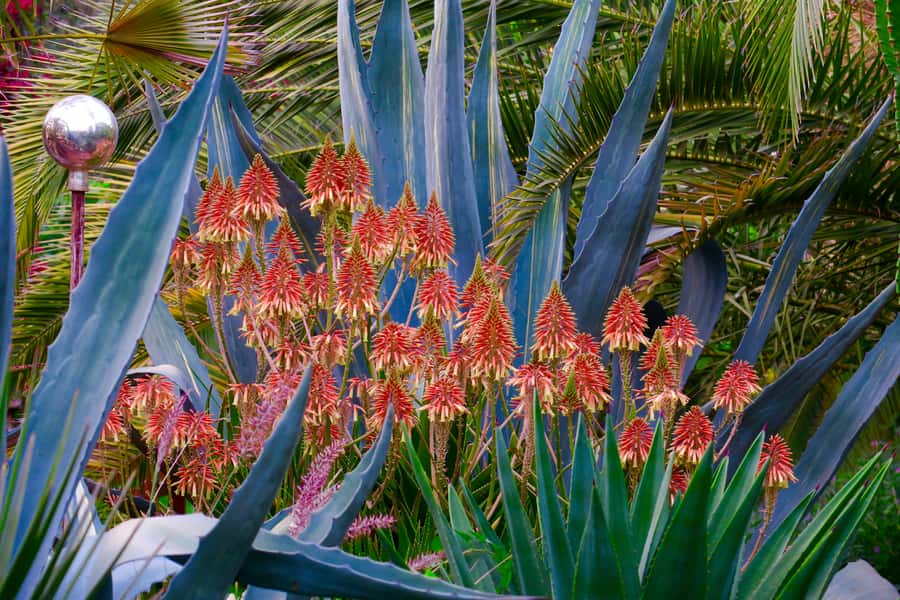 Marrakech: André Heller's ANIMA Garden Ticket - Is the $16 ticket good value?