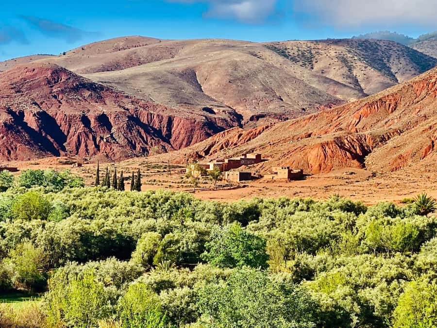 Marrakech: Atlas Mountain, Berber Villages, & Valleys Tour - Imlil, Toubkal National Park, and the mountain guide