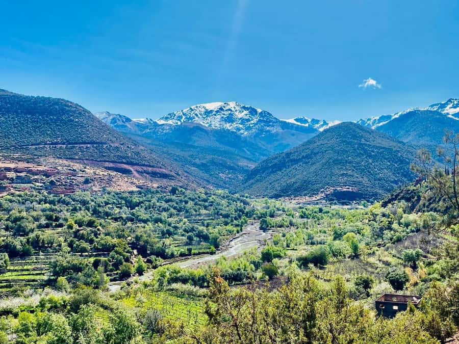 Marrakech: Atlas Mountain, Berber Villages, & Valleys Tour - Waterfalls, Ait Mizan, and the walk to Aroumd