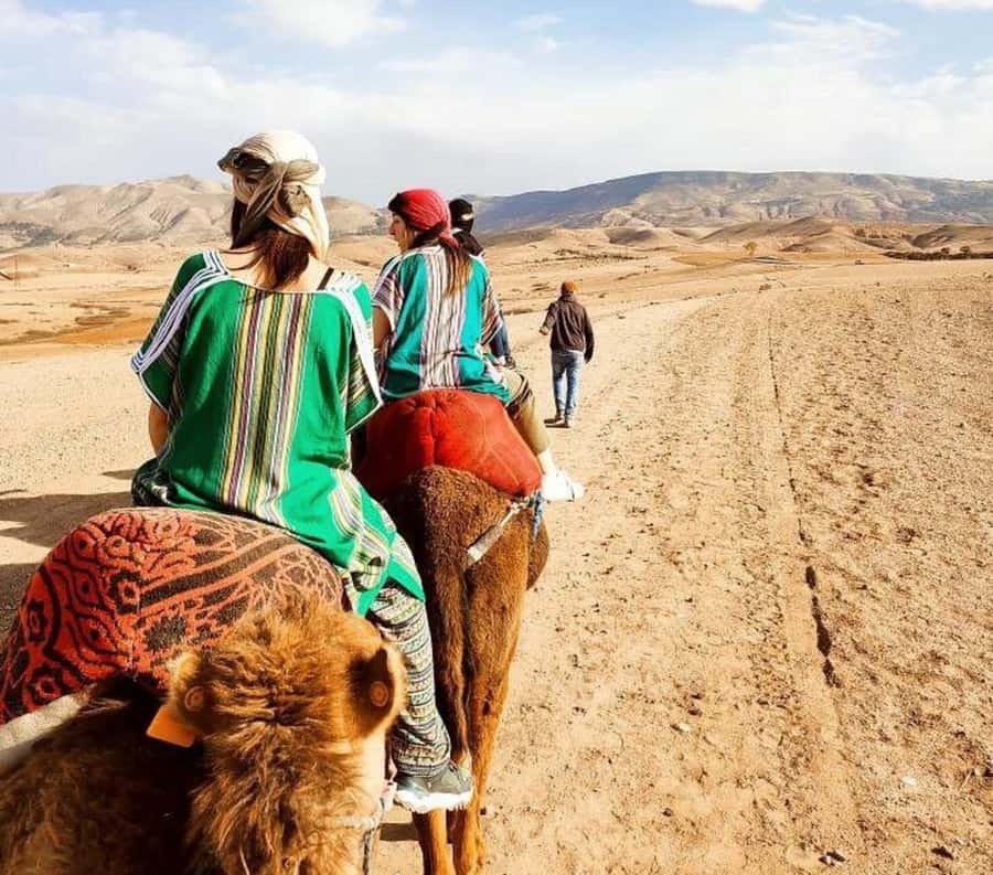 Marrakech: Atlas Mountains, Agafay Desert, Waterfall & Lunch - Lunch in Imlil with mountain views