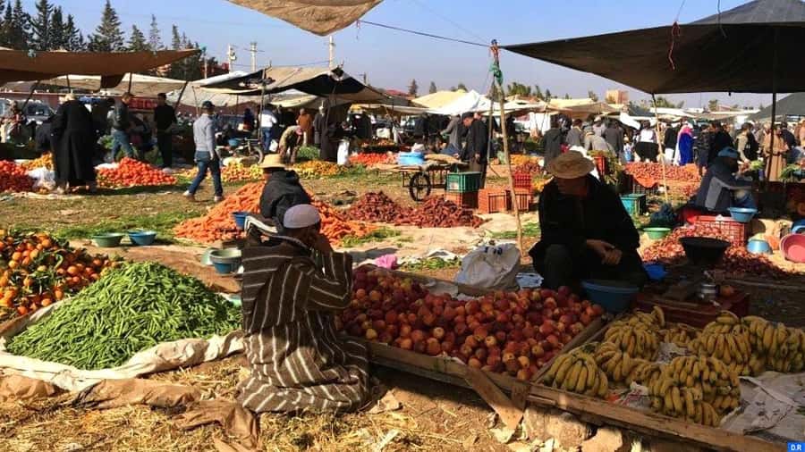Marrakech: Atlas Mountains, Agafay Desert, Waterfall & Lunch - How much value do you get for $28?