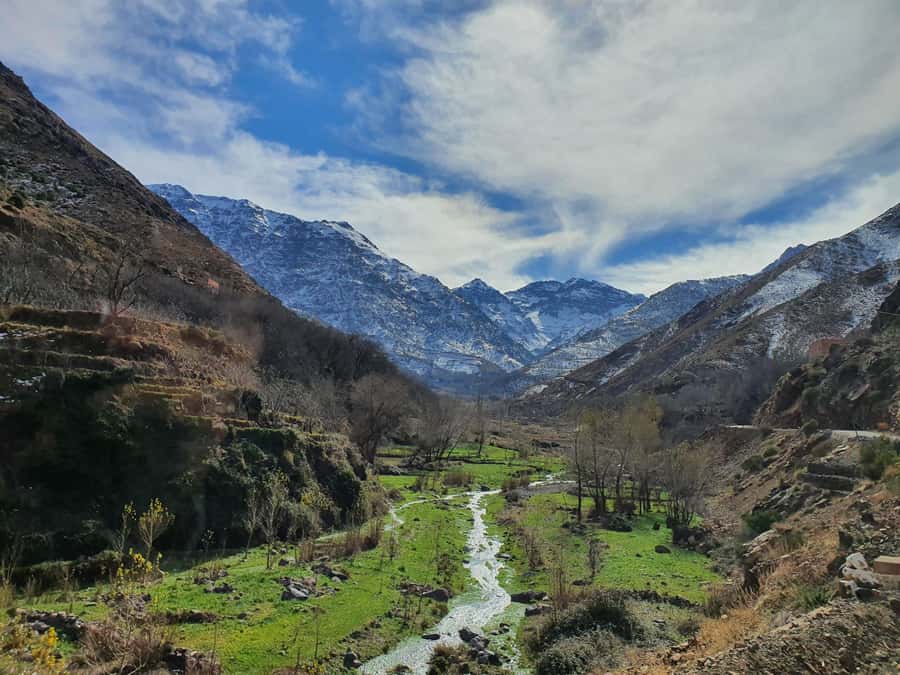 Marrakech: Atlas Mountains, Agafay Desert, Waterfall & Lunch - Choosing the right market day