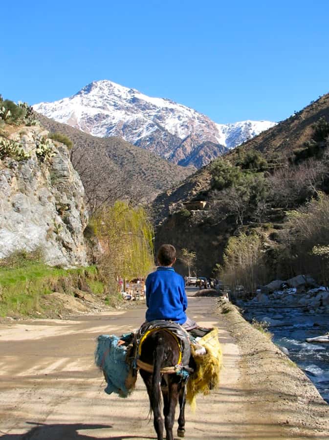 Marrakech: Atlas Mountains and Desert Safari with Lunch - Guides, vehicles, and the quality of the day
