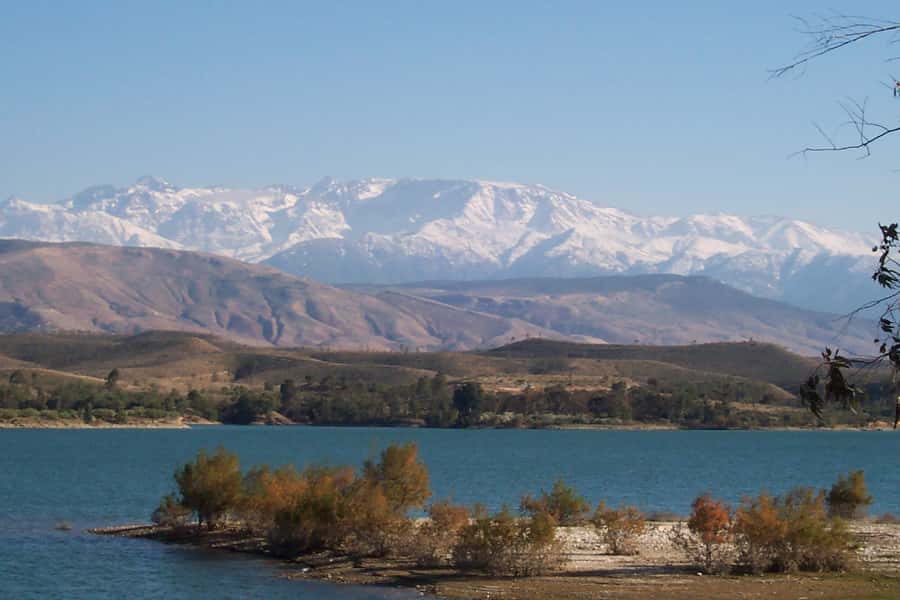 Marrakech: Atlas Mountains and Desert Safari with Lunch - Tea, bread, and a window into Berber home life