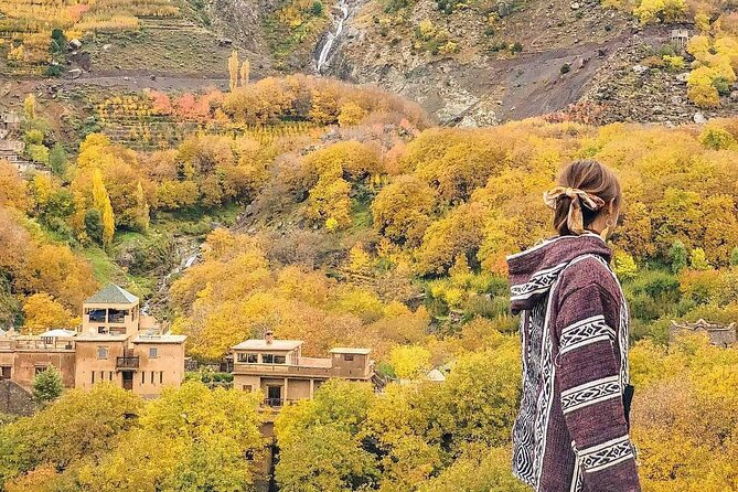 Marrakech: Atlas Mountains, Berber Villages, Agafay & Camel Ride - A Berber family home and a proper Moroccan lunch