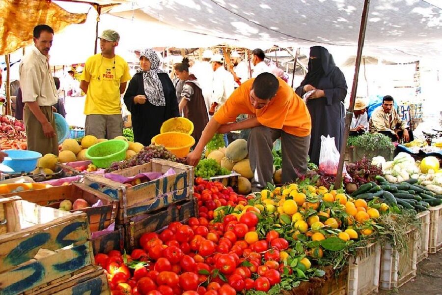 Marrakech: Atlas Mountains, Camel Ride, Waterfalls, & Lunch - Price, Pace, and What Is Included