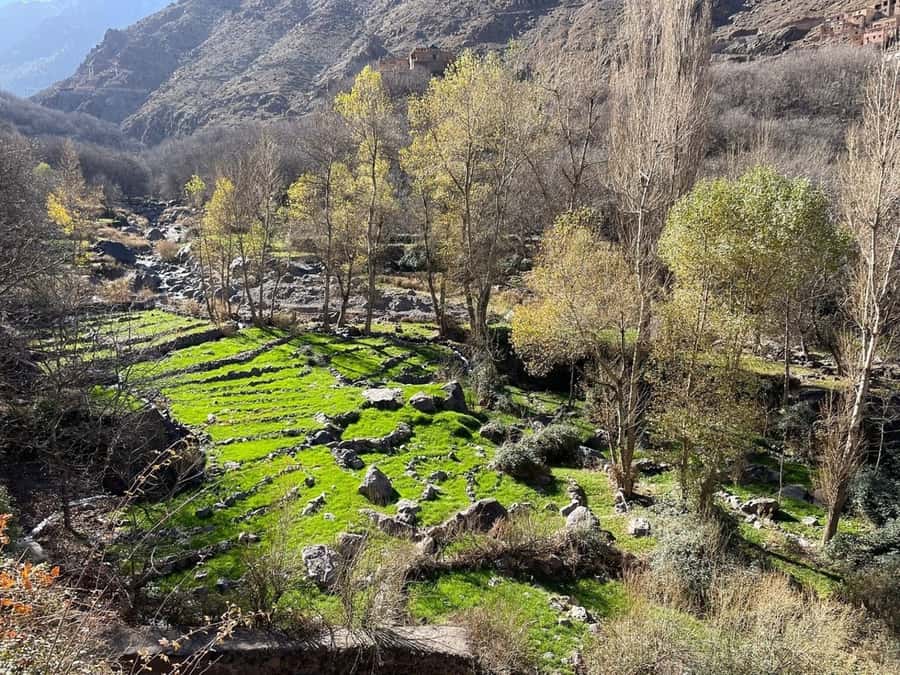 Marrakech: Atlas Mountains, Camel Ride, Waterfalls, & Lunch - Should You Book This Atlas Mountains Tour?