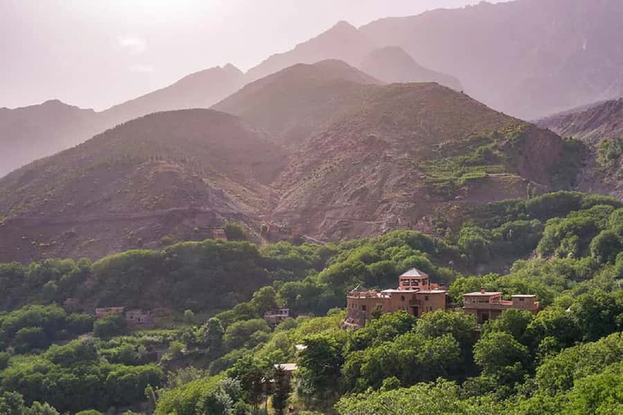 Marrakech: Atlas Mountains Day Trip, 3 Valleys & Waterfalls - Lunch on a rooftop at a local Berber home