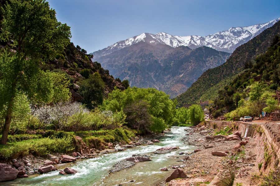 Marrakech:Atlas Mountains, Ourika Valley Day Trip,Waterfall - Timing, Group Size, and the Long-Day Risk