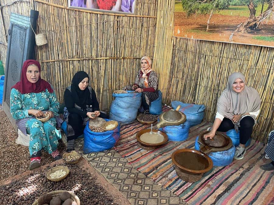 Marrakech: Atlas Mountains, Ourika Valley, Waterfall & Guide - What happens at the argan oil cooperative