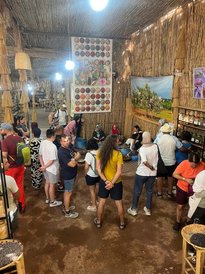 Marrakech: Atlas Mountains, Ourika Valley, Waterfall & Lunch - Five useful things to know before you go