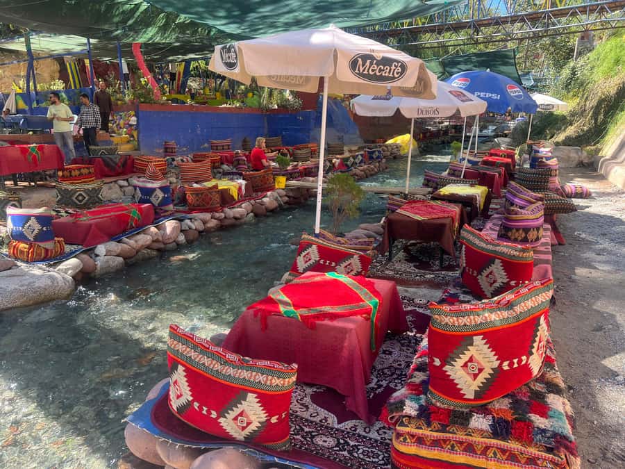 Marrakech: Atlas Mountains, Ourika Valley, Waterfall & Lunch - A Berber home, tea, and the Argan oil cooperative