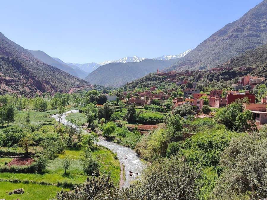 Marrakech: Atlas Mountains, Ourika Valley, Waterfall & Lunch - The 1.5-hour walk to the Setti Fadma waterfalls
