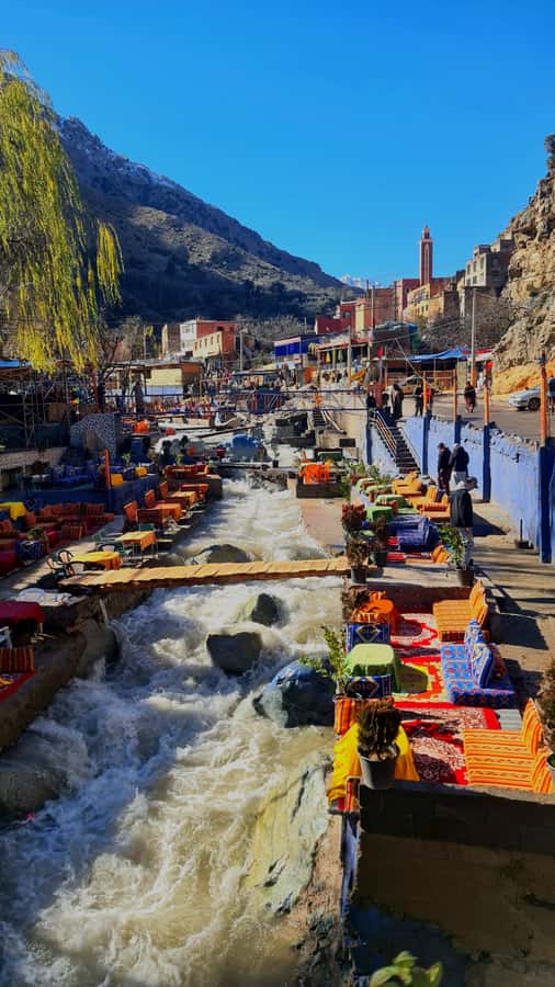 Marrakech: Atlas Mountains & Ourika Waterfalls, Lunch+Guide - Seeing how Moroccan argan oil is made
