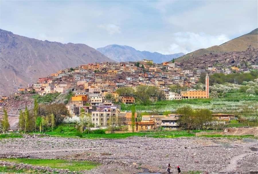 Marrakech: Atlas Mountains & Valleys Waterfall Hike w/ Lunch - The argan oil cooperative and a useful shopping stop