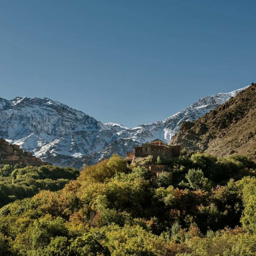 Marrakech: Atlas Mountains & Valleys Waterfall Hike w/ Lunch - Berber breakfast, family lunch, and mint tea