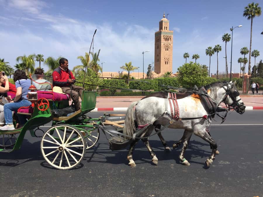 Marrakech: Bahia Palace, Saadian Tombs, & Koutoubia Mosque - Koutoubia Mosque and the red city skyline