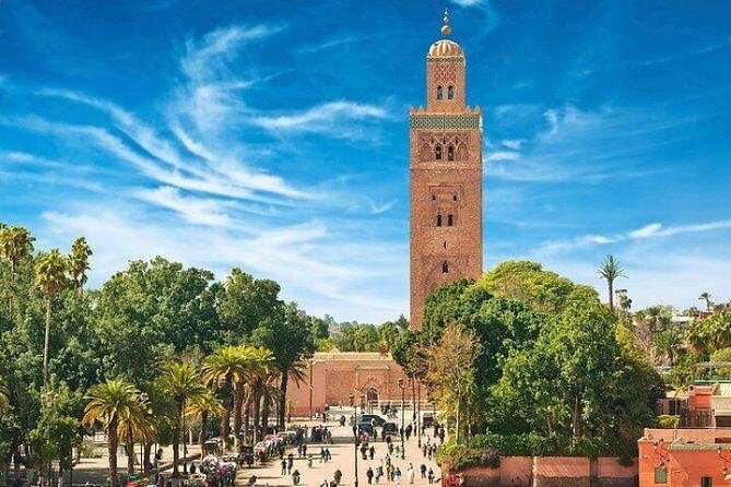 Marrakech Best Day Trip from Casablanca - La Palmeraie and the optional camel ride