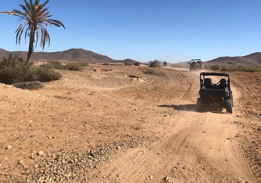 Marrakech: Buggy Experience at Palmeraie with Hotel Pickup - Leaving Marrakech for the Palmeraie
