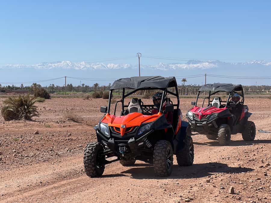 Marrakech Buggy Palmerie and Desert - Photo stops with more value than a quick snapshot