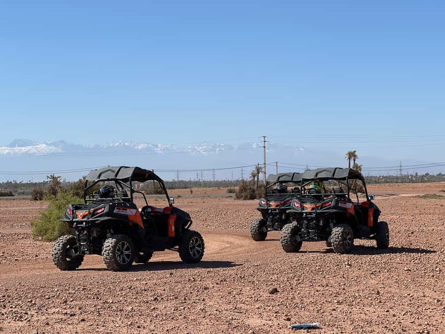 Marrakech Buggy Palmerie and Desert - How the timing works in real terms
